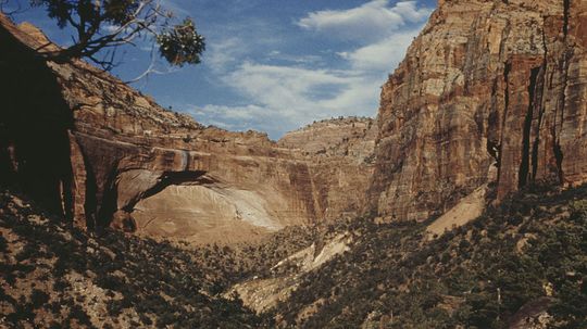 Zion National Park