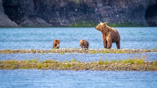 Kobuk Valley National Park