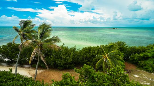 7 Must Have Experiences in The Florida Keys