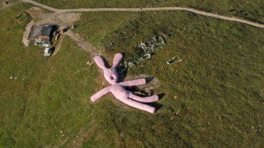The Giant Pink Rabbit In Piedmont, Italy