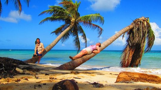 Under Water in Little Corn Island, Nicaragua