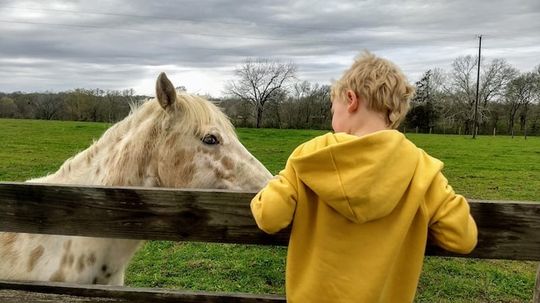 The Antidote for Kids' Tech Addiction: Weekend on the Farm