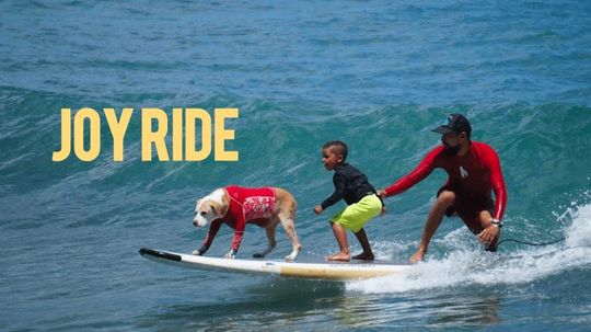 Hani the Hawaiian Surfer Dog