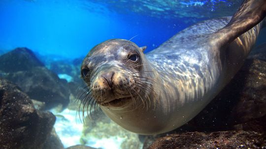 8 Fantastic Free Things to Do in the Galapagos Islands
