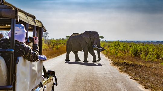 7 Things to See and Do in Botswana