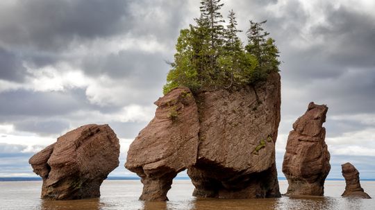 The Top Things to See and Do in New Brunswick
