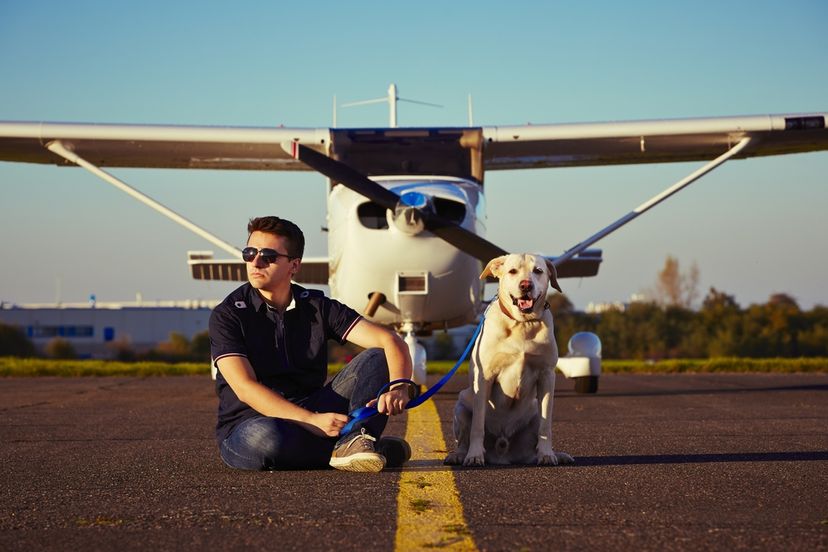 Animals are Getting Second Chance Thanks to Volunteer Pilots | MapQuest ...