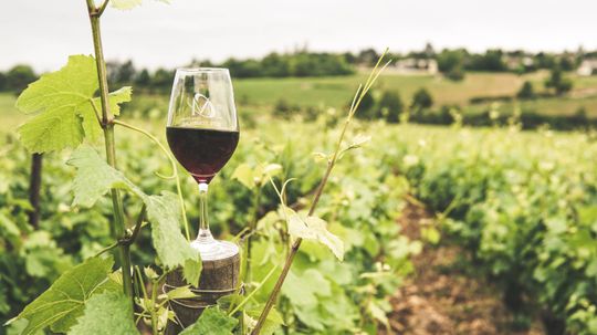 Vineyards and Wineries close to Baltimore