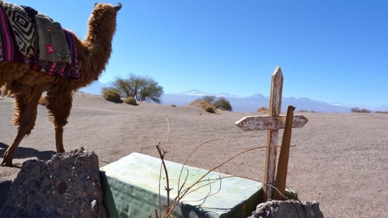 Atacama Desert. Photo by Shelley Seale