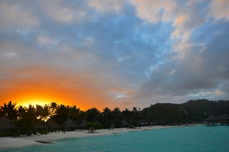 Caribbean Weddings - Trinidad and Tobago