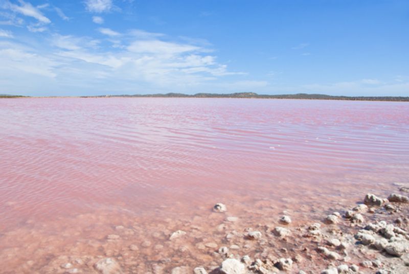 Esperance Pink Lake Australia