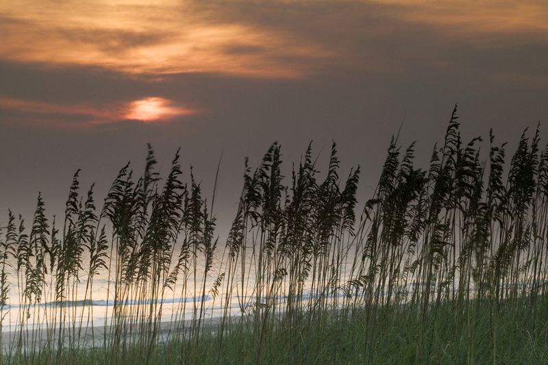 Huntington Beach State Park Myrtle Beach