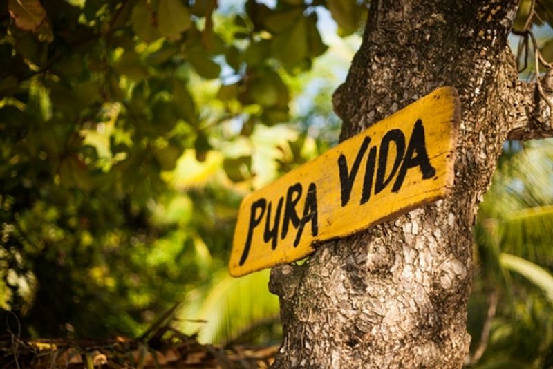 Pura vida