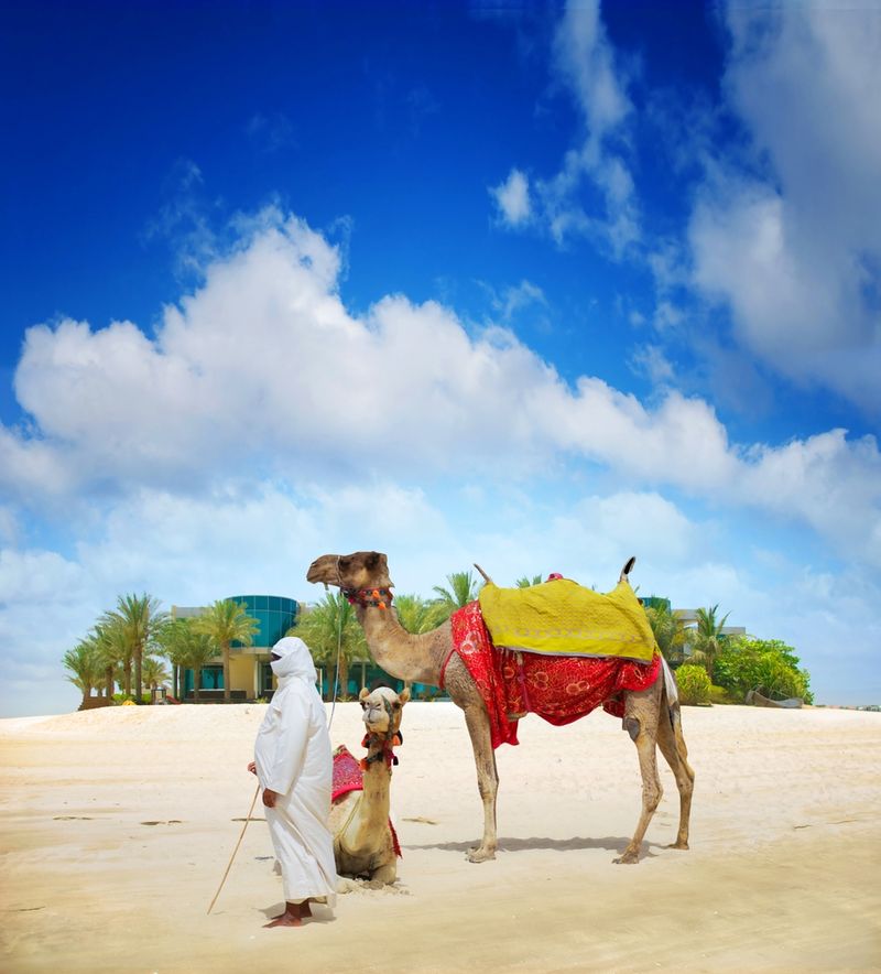 camel ride