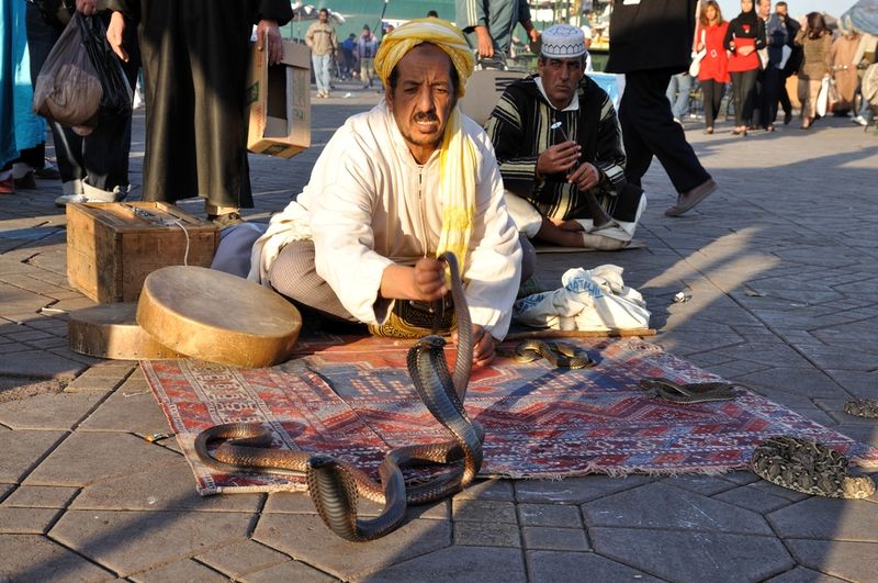 snake charmer