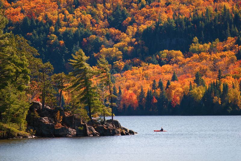 Algonquin Park Canada