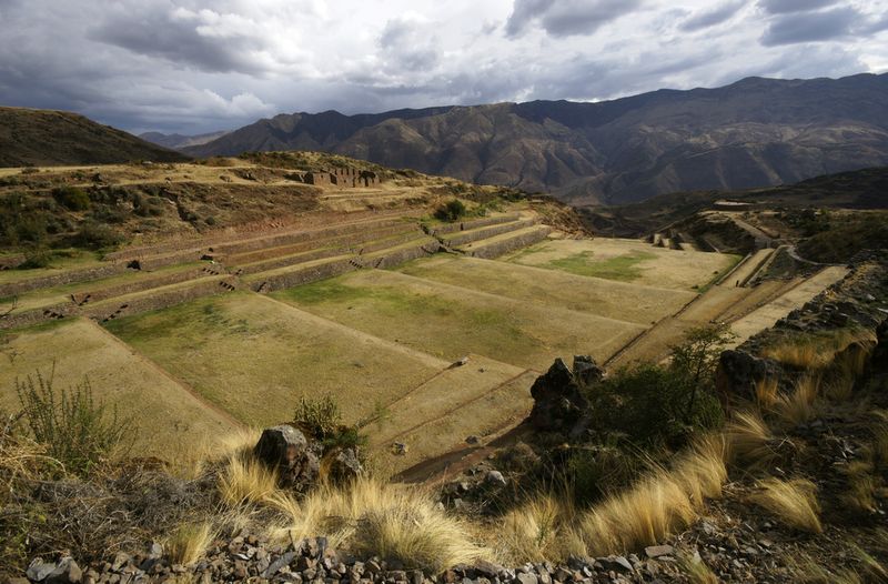 Tipon Peru