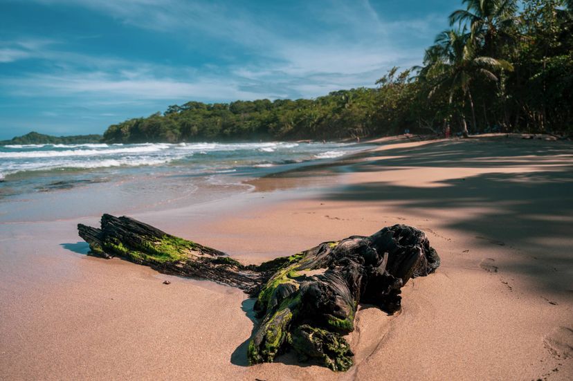 Costa Rican Beach