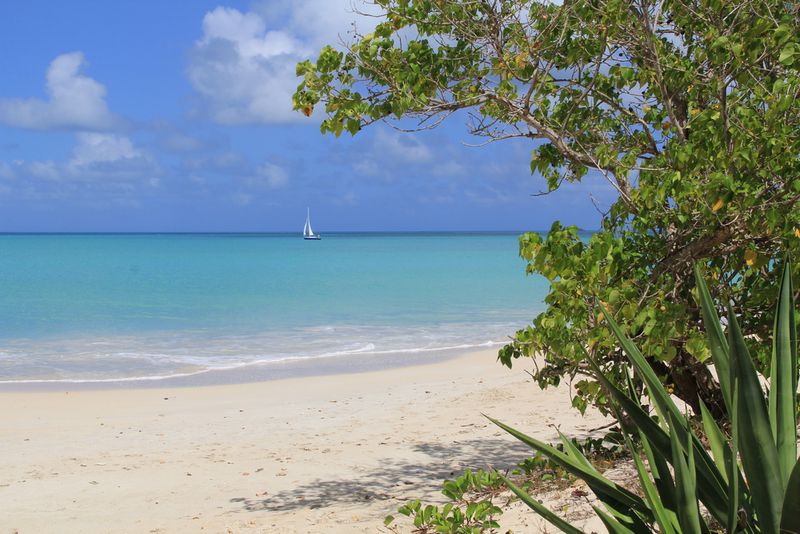 Galley Bay Beach Antigua