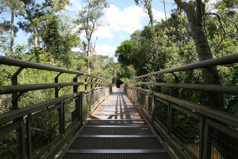 Iguazu National Park Walkways