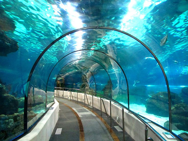 L'Aquarium de Barcelona