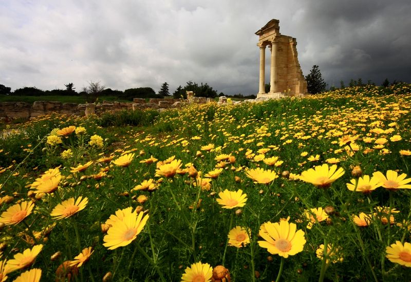 cyprus spring