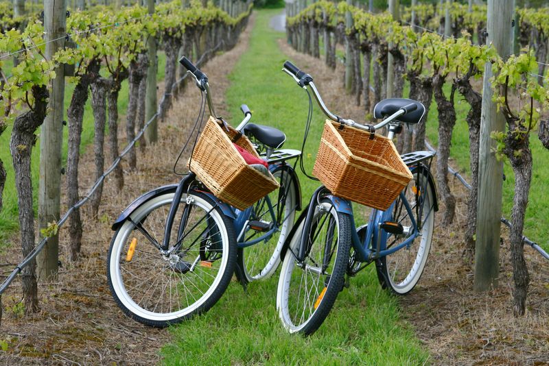biking wine country