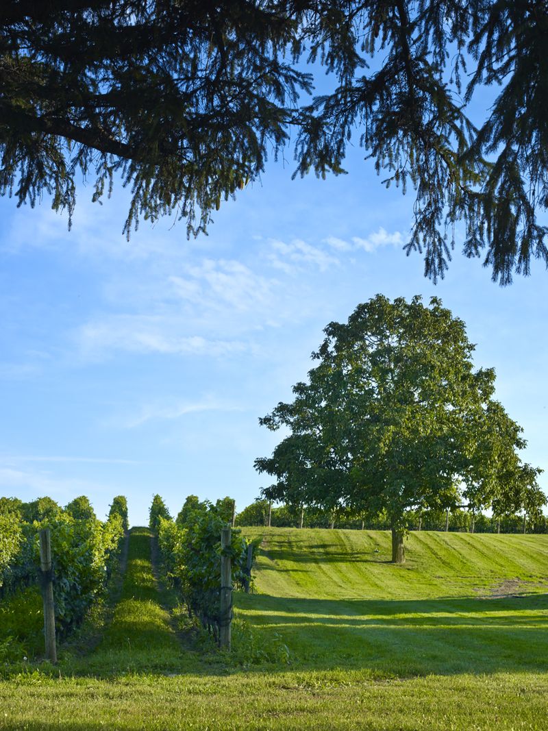 Photo courtesy of Steven Elphick Photography