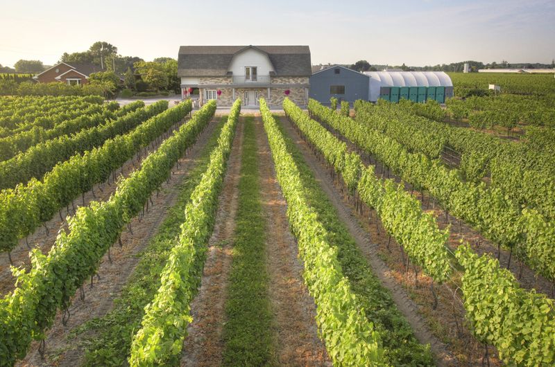 Photo courtesy of Steven Elphick.