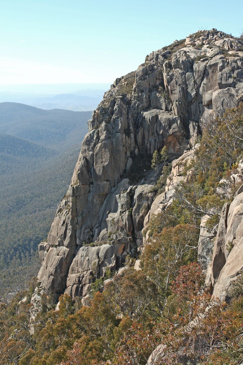 booroomba buttress