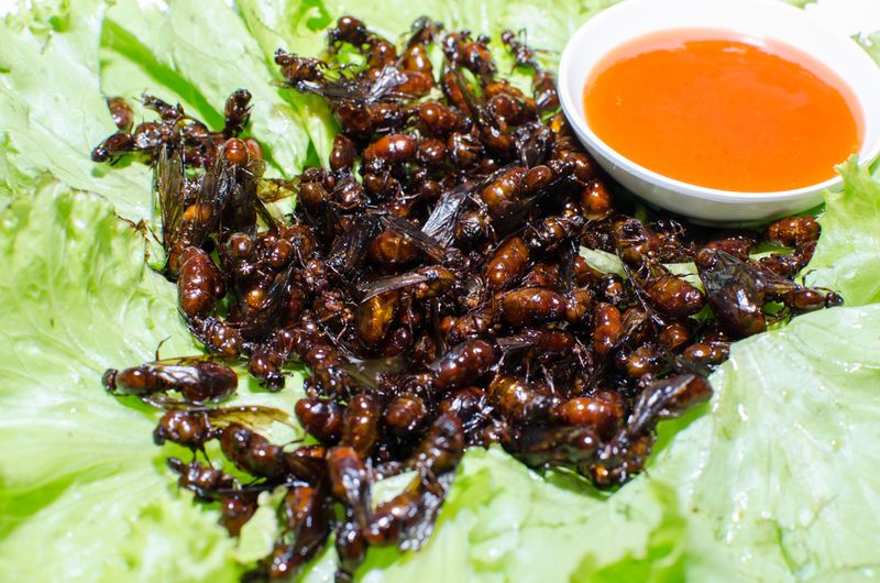 fried ants