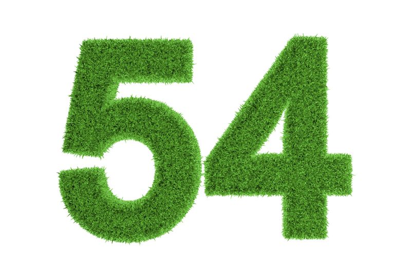 54