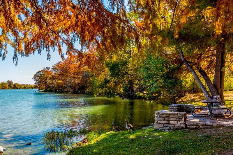 Guadalupe River