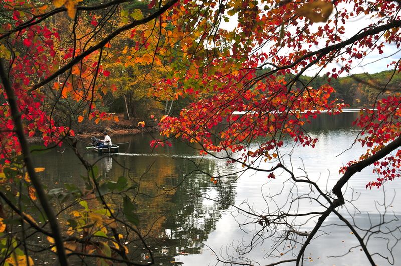 Walden Pond