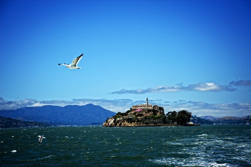 Alcatraz