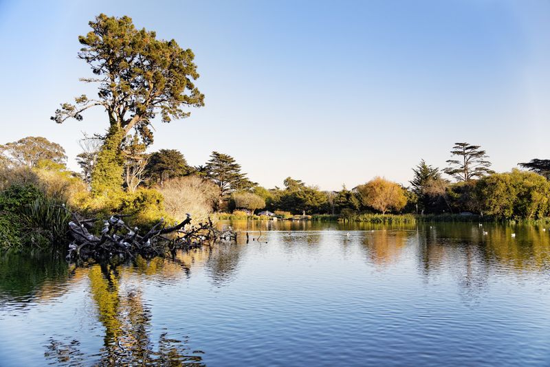 Golden Gate Park