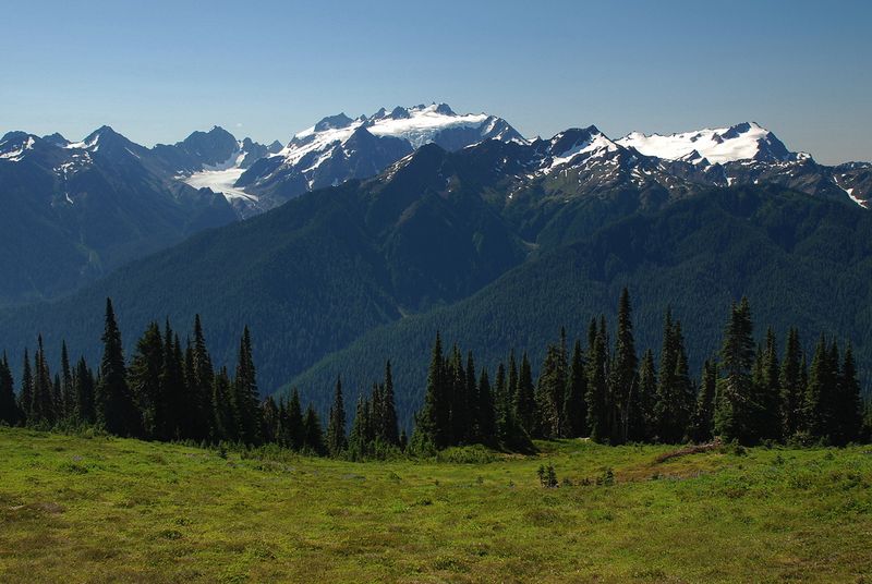 Enchanted Valley Washington