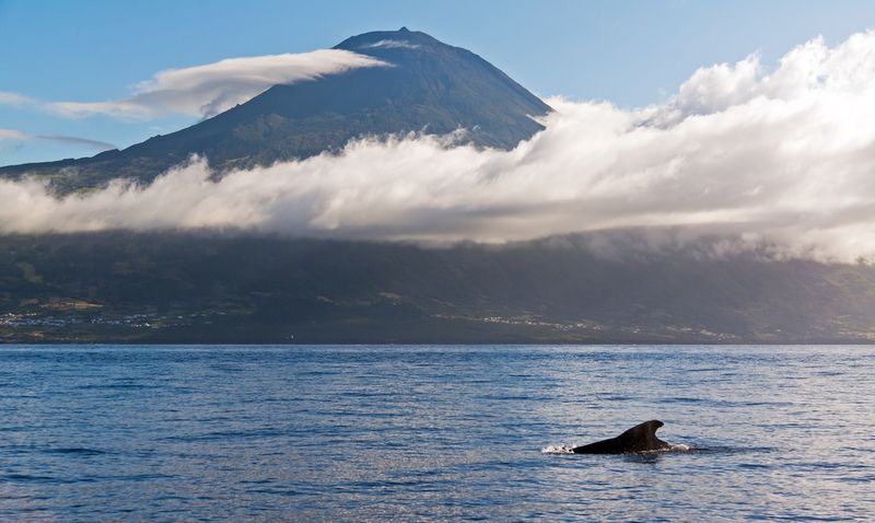 Pico Azores