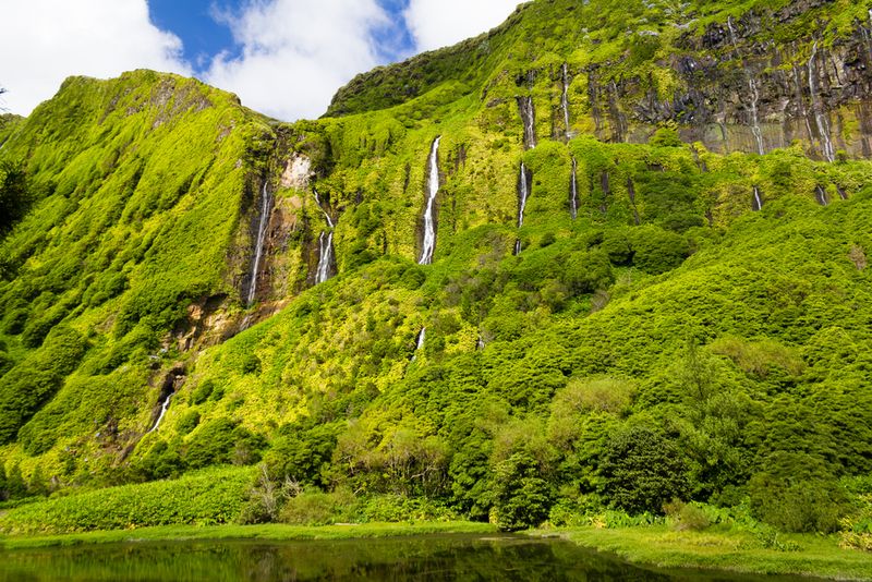 Flores, Azores