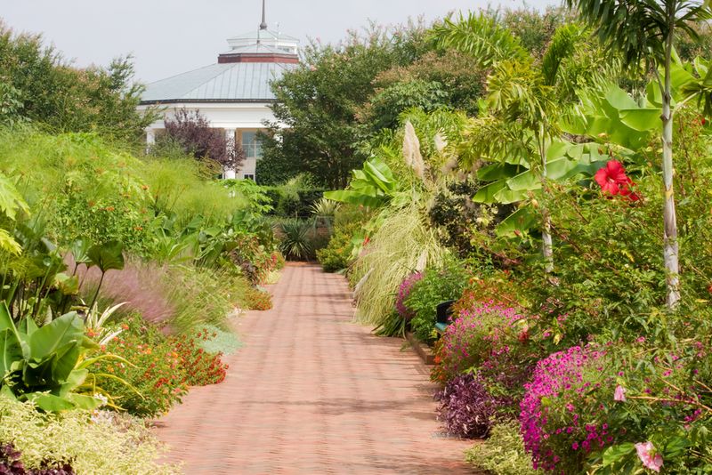 Daniel Stowe Botanical Garden