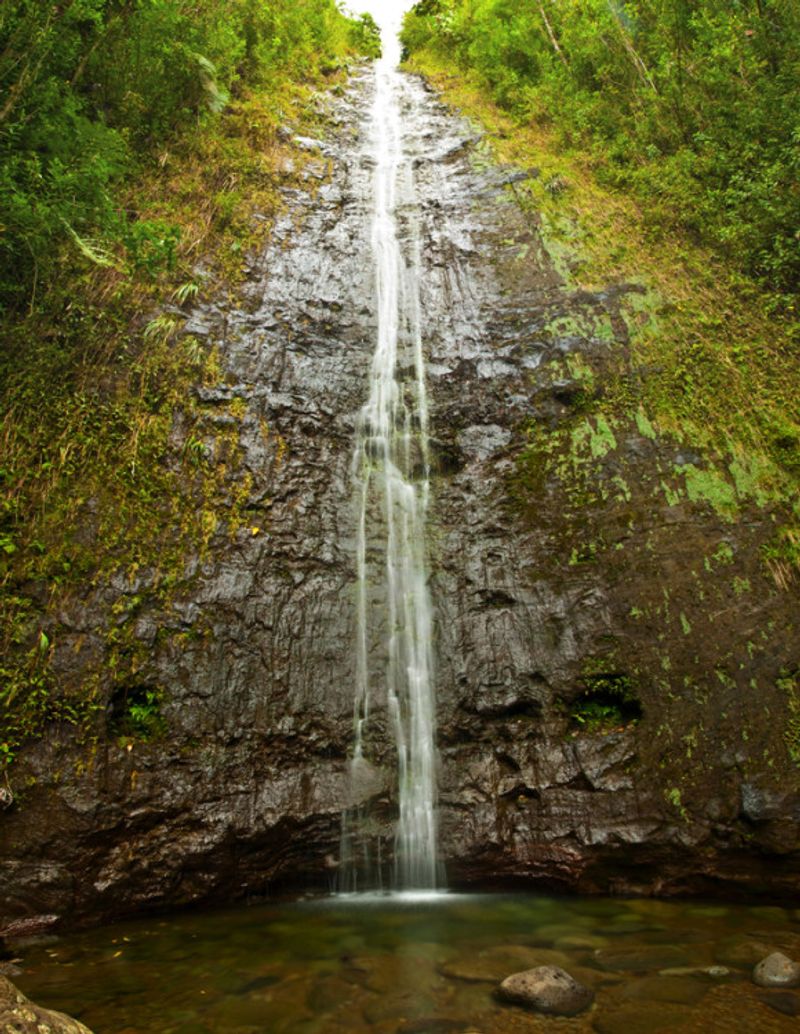 Manoa Falls