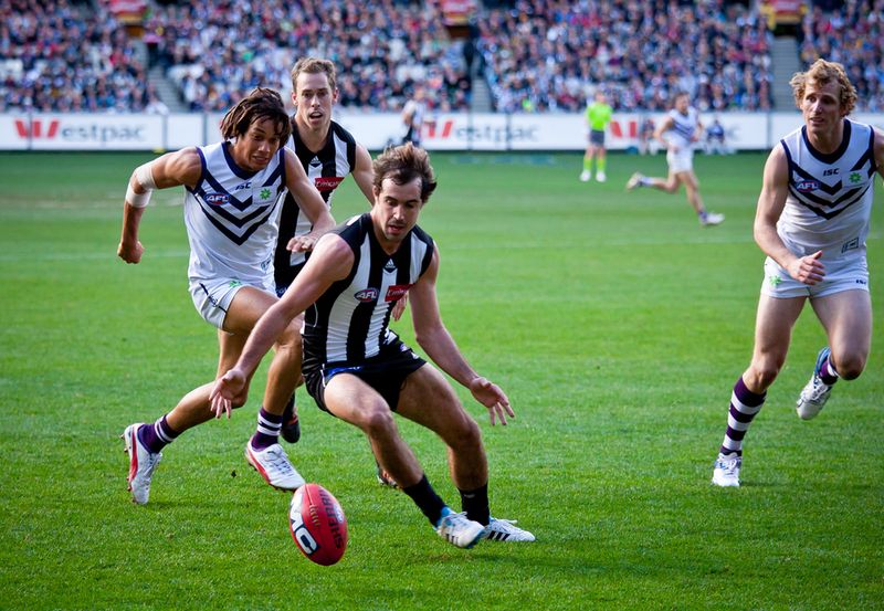 Neale Cousland / Shutterstock.com