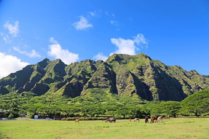 Kualoa Ranch