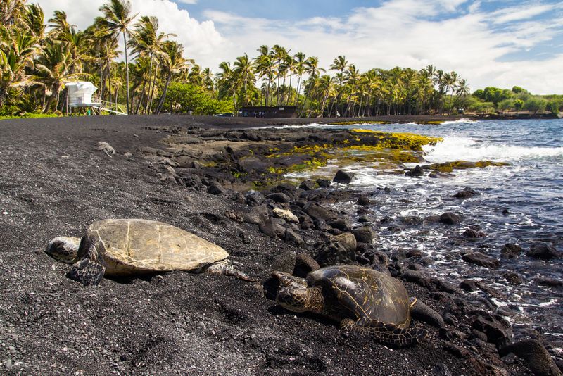 Punalu’u Beach