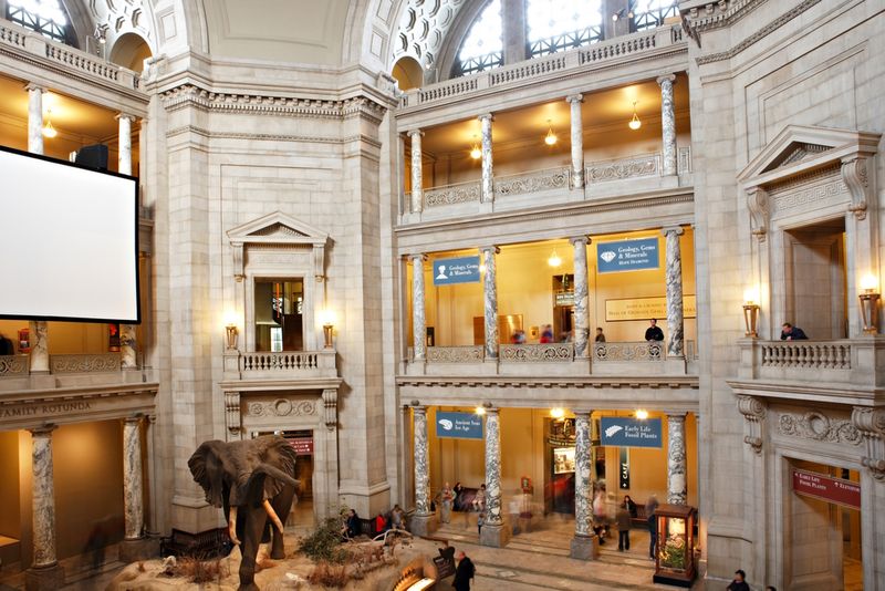 Museum of Natural History Washington