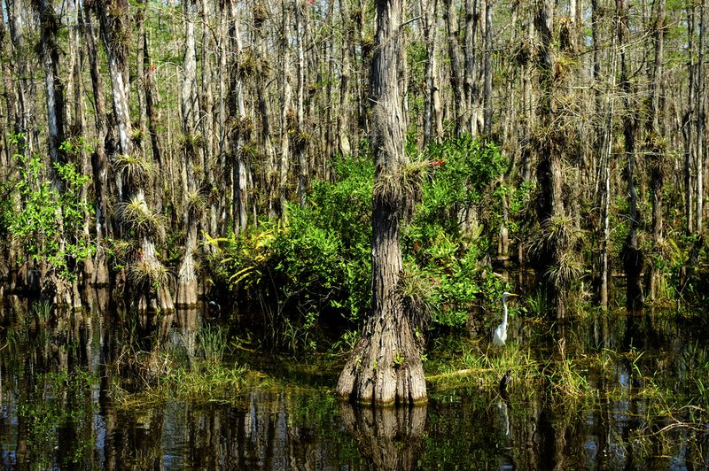 Everglades National Park