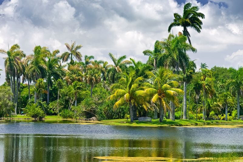 Fairchild Tropical Botanical Gardens