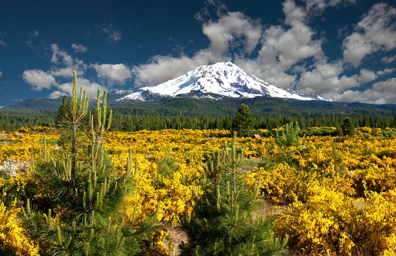 Mount Shasta, California