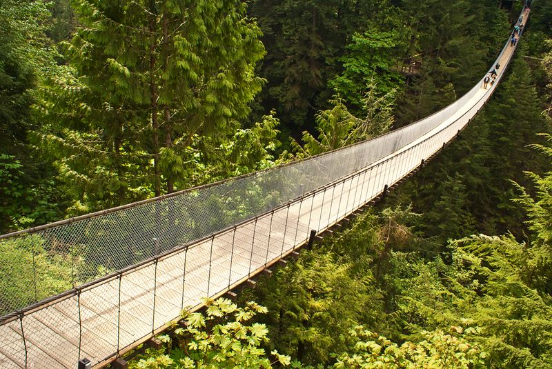 The Top Things to See and Do in Vancouver