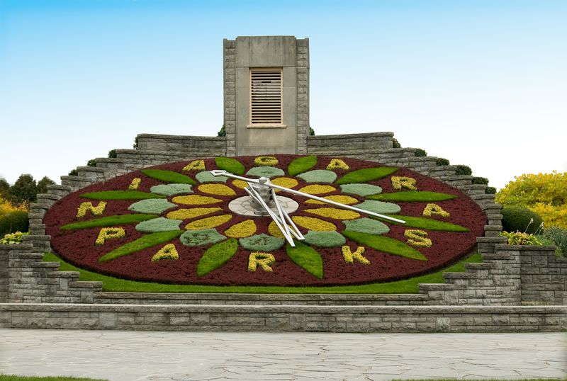 Flowerclock Niagara